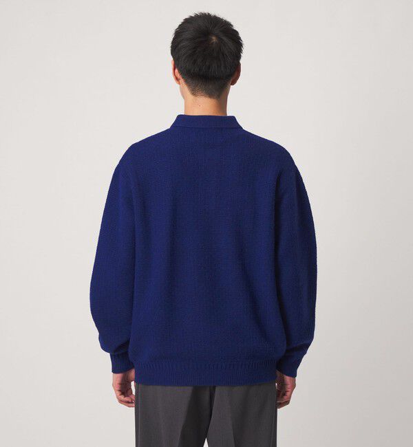UNITED ARROWS green label relaxing「ハミルトンラムズウール ナイロン 長袖 ニットポロ」|ポロシャツ|