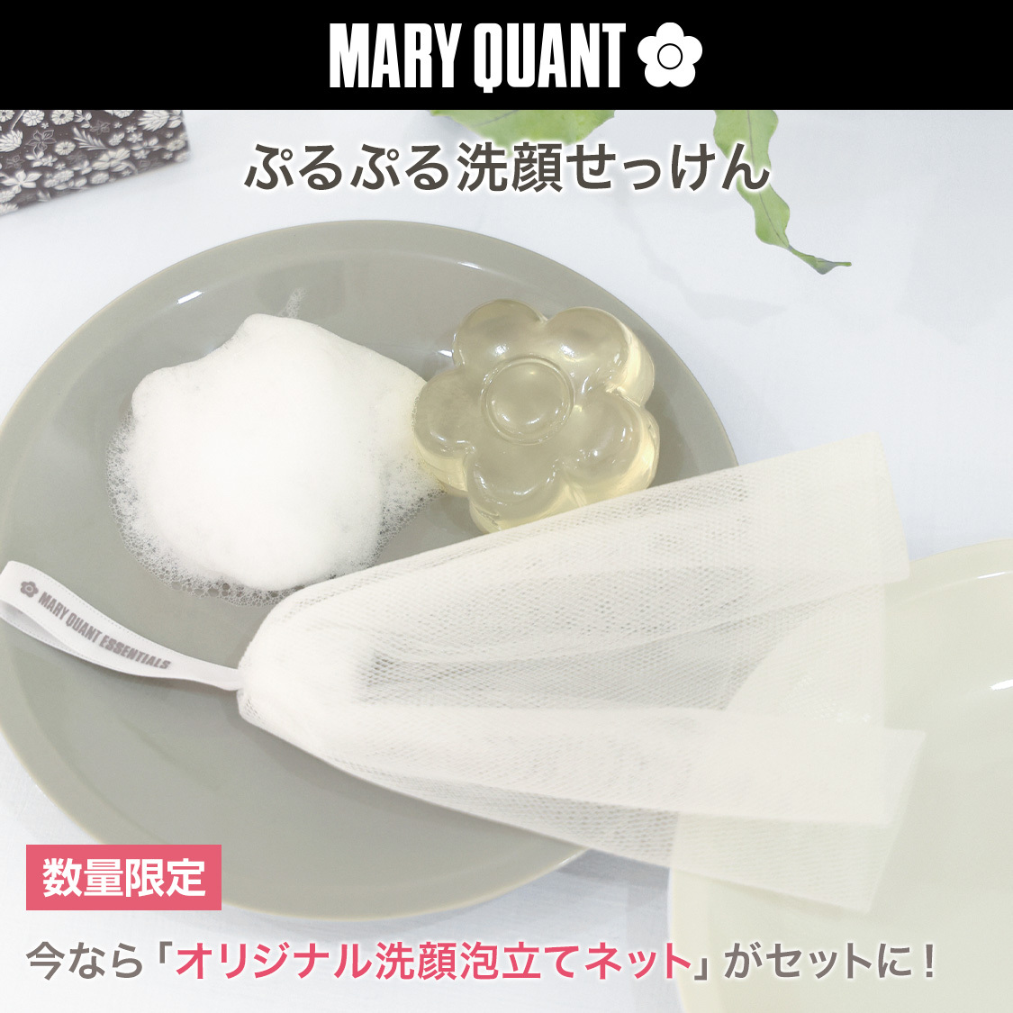 ニュース画像