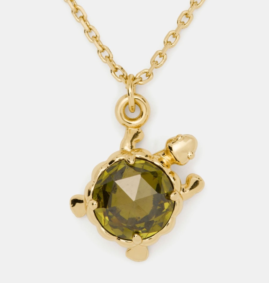 ショップニュースサムネ画像