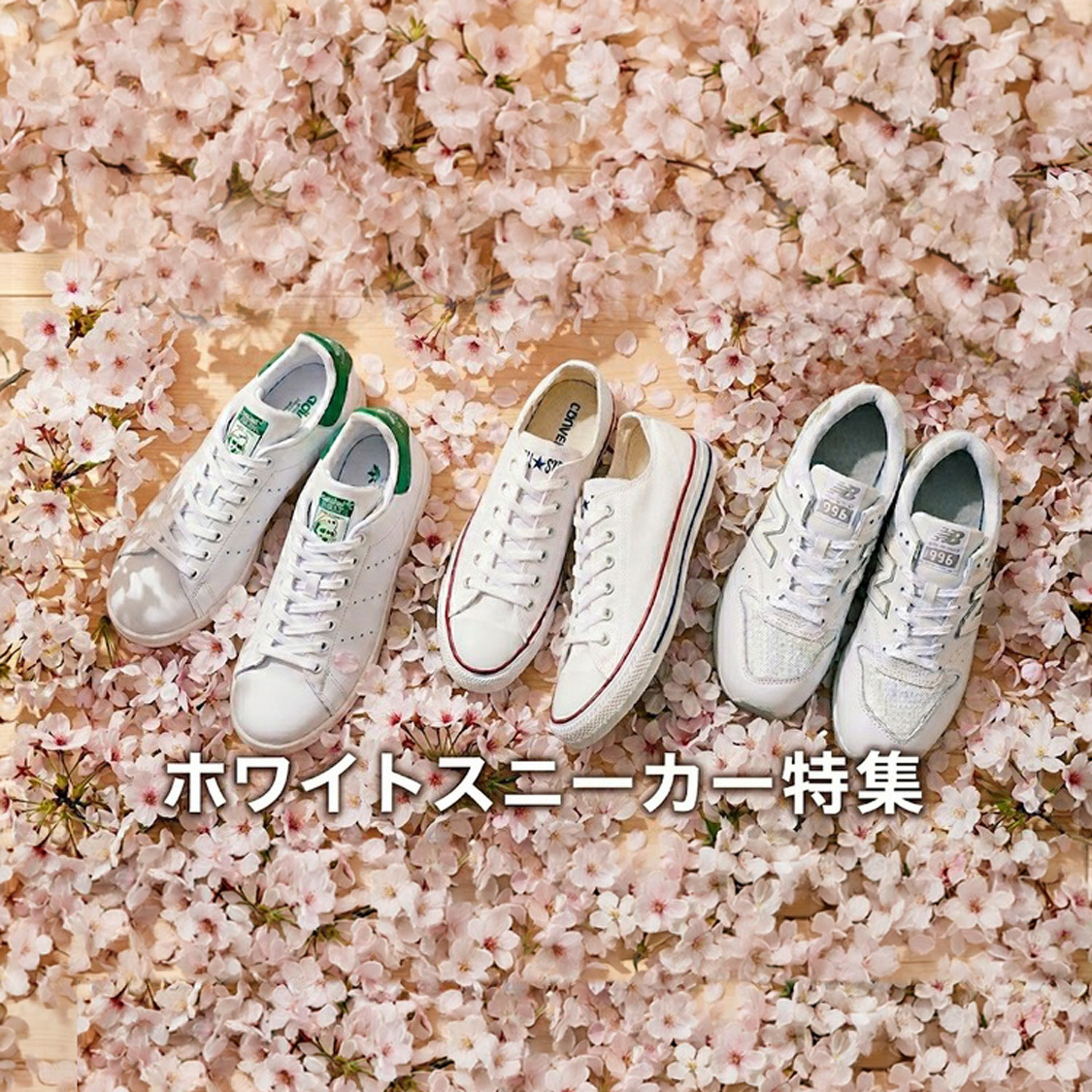 ニュース画像