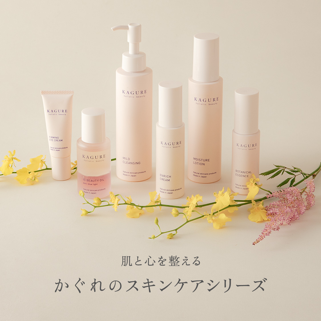 ニュース画像